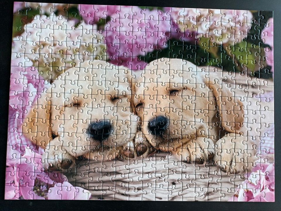 Ravensburger Puzzle 300 Teile Hunde Welpen in Oyten