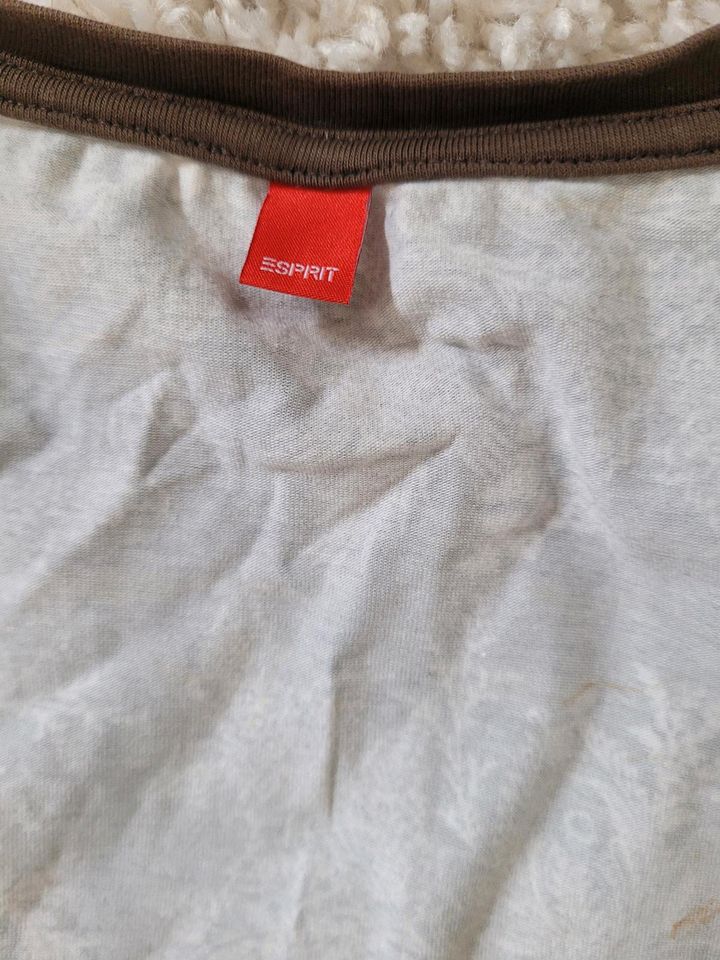 ESprit Top in XXL 95%Baumwolle in Vettweiß