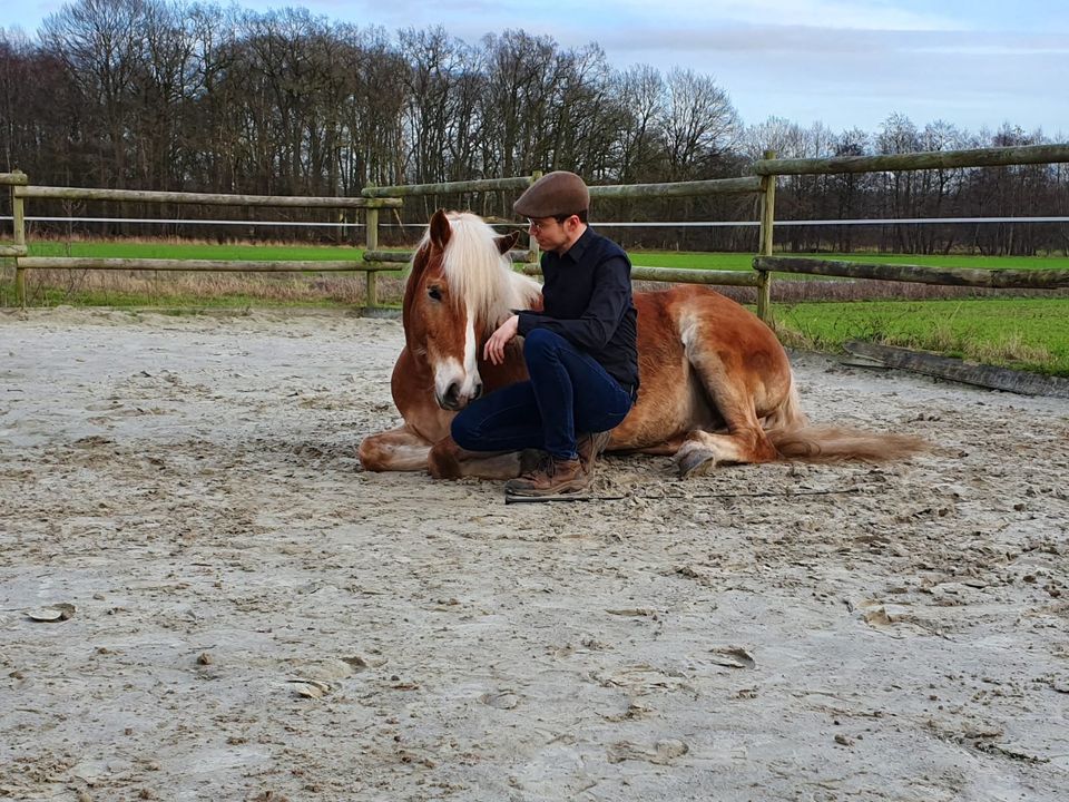 Mobiler Reitunterricht | Seminare I Horsemanship in Vechta