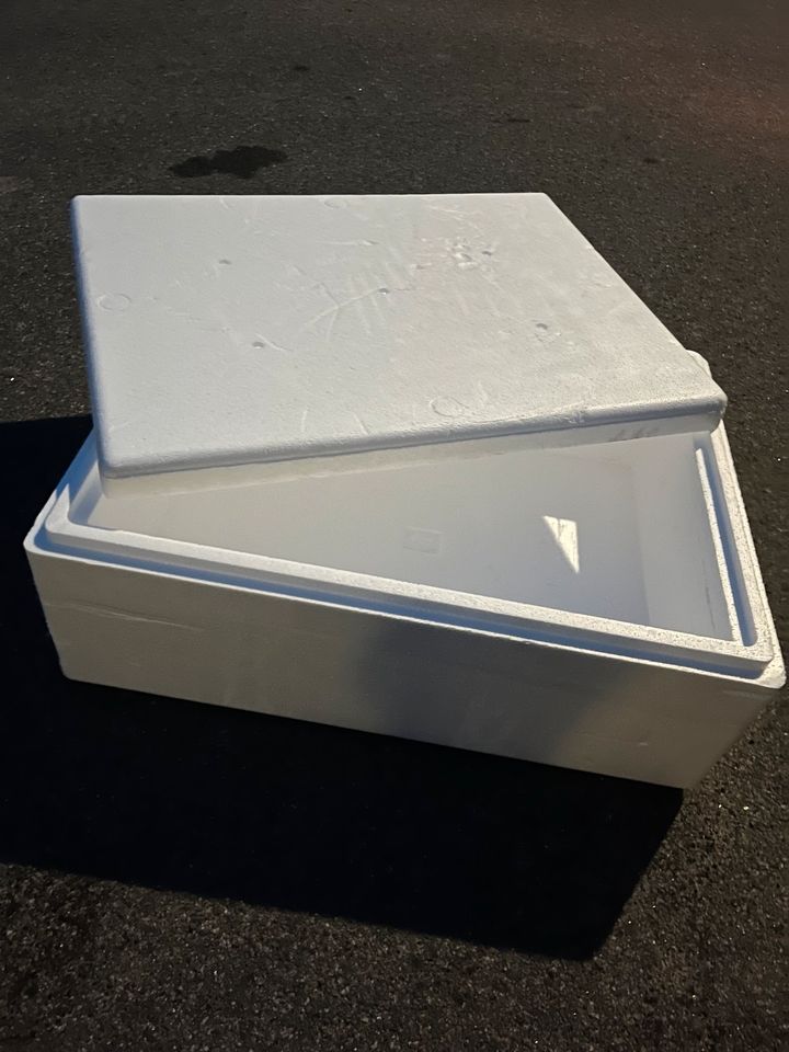 4 Styroporkisten,Transportbox,Isolierbox,Warmhaltebox,Styroporbox in Dennheritz