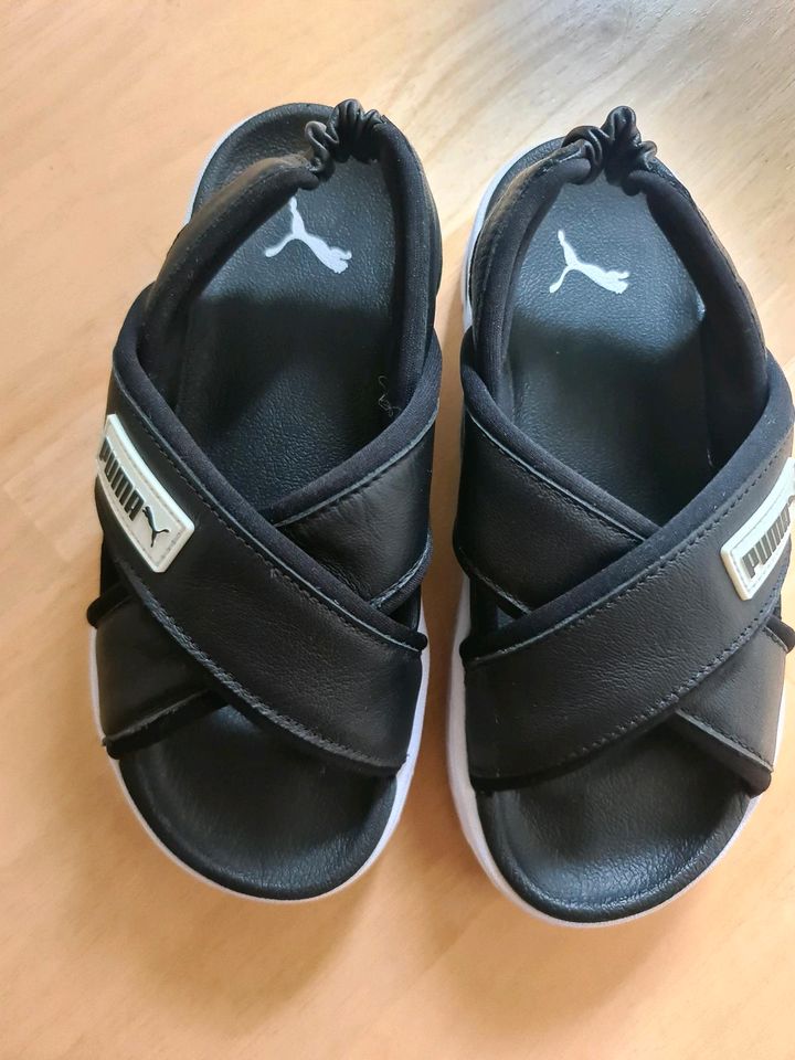 Puma Leder Sandalen Gr. 38 Neupreis 119 Euro in Gengenbach