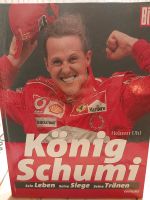 König Schumi Buch Rheinland-Pfalz - Simmertal Vorschau