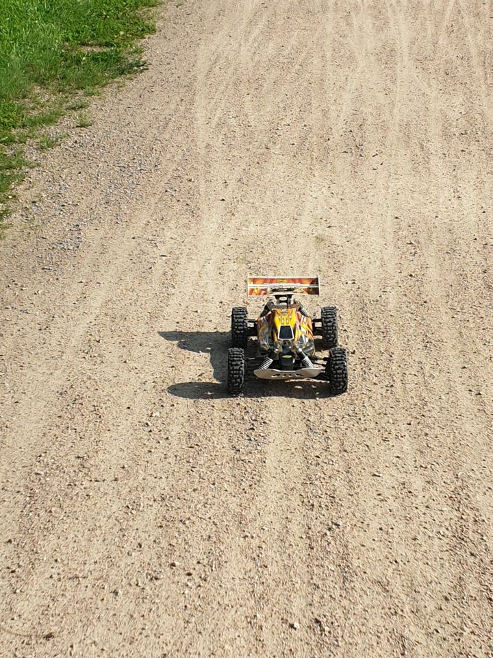 Carson Specter two 4s Buggy 1/8 in Hamburg