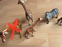 Schleich Wildlive Giraffe Zebra Nordrhein-Westfalen - Borken Vorschau