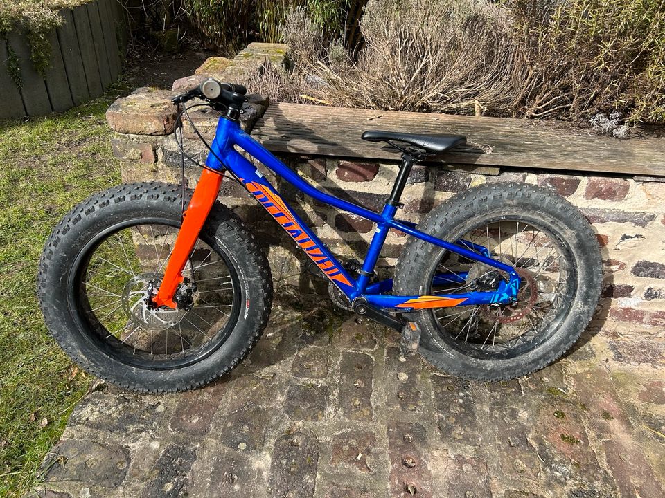 Specialized Fatbike 20 Zoll, TOP in Oerlinghausen