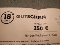 Fahrradgutschein 18° Grad Bikestores Wert 250€ München Bayern - Rain Lech Vorschau