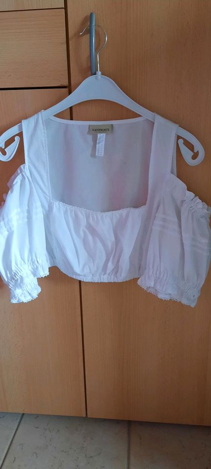 Dirndl mit Bluse Gr. 40 in Freiburg im Breisgau