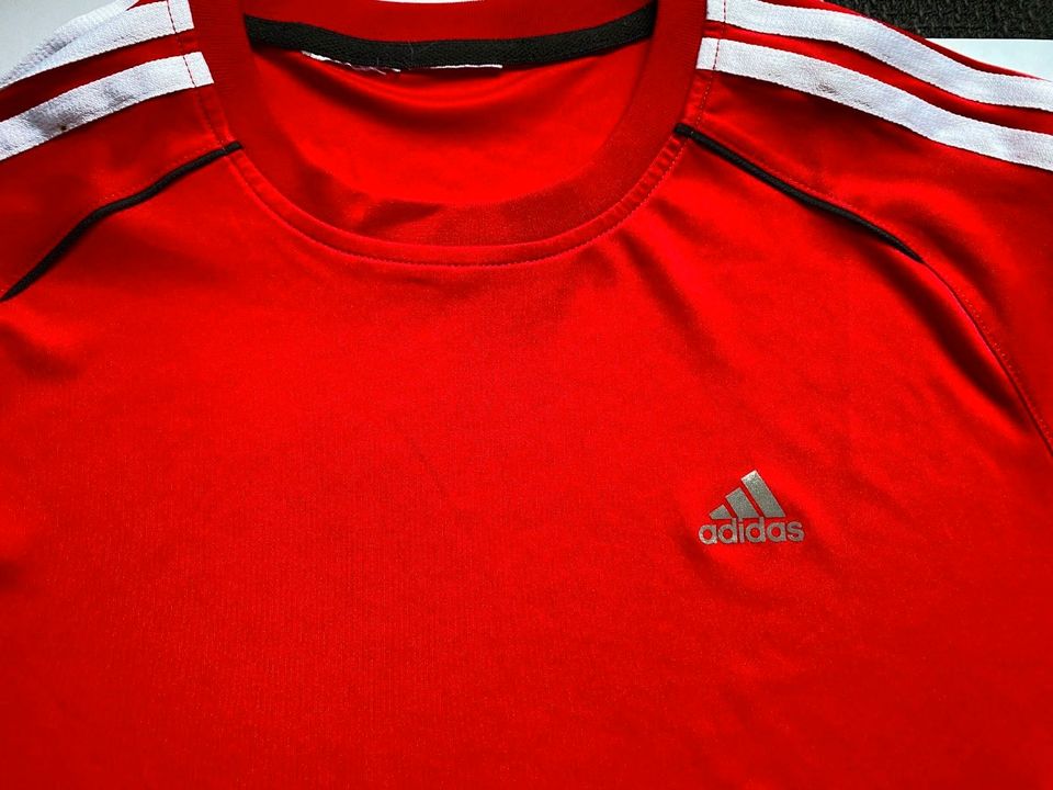 Adidas FC Bayern Trikot Shorts T-Shirt Hose Rot Fußball 176 in Ratingen