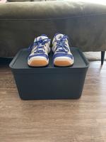 Hallenschuhe Adidas Thüringen - Jena Vorschau