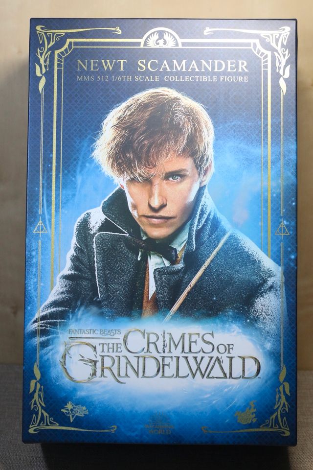 Hot Toys Newt Scamander Sideshow 1/6 Phantastische Tierwesen in St. Wendel