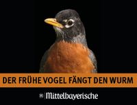 Tageszeitungs- Briefzusteller (m,w,d) in Berg gesucht! Bayern - Berg bei Neumarkt i.d.Opf. Vorschau