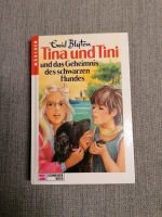 Buch "Tina und Tini - Das Geheimnis des schwarzen Hundes" Thüringen - Römhild Vorschau