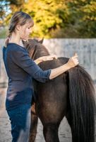 Osteopathie für Pferde Bayern - Langenneufnach Vorschau