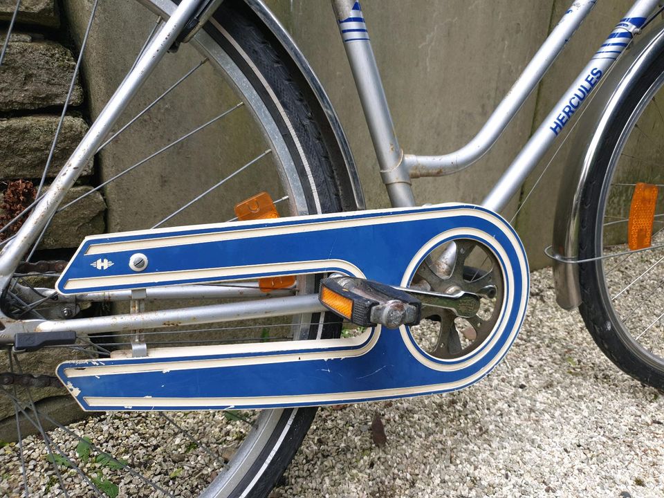Fahrrad Damenrad 28 Zoll sofort fahrbereit in Detmold