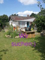 Schrebergarten/ Gartenstück Baden-Württemberg - Neuenstadt Vorschau