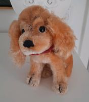 Steiff Hund " Cocker Spaniel Susi" ca. 18 cm Hessen - Baunatal Vorschau