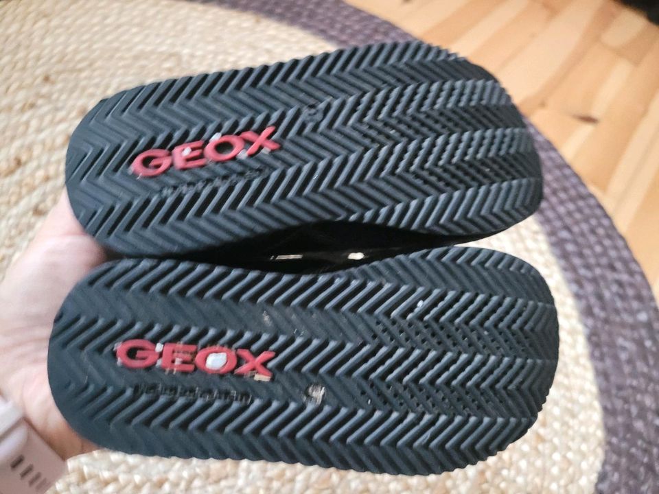 Schuhe Geox in München