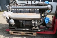 Deutz Motor V 12 TBD 616 mit 763 PS Nordrhein-Westfalen - Nottuln Vorschau