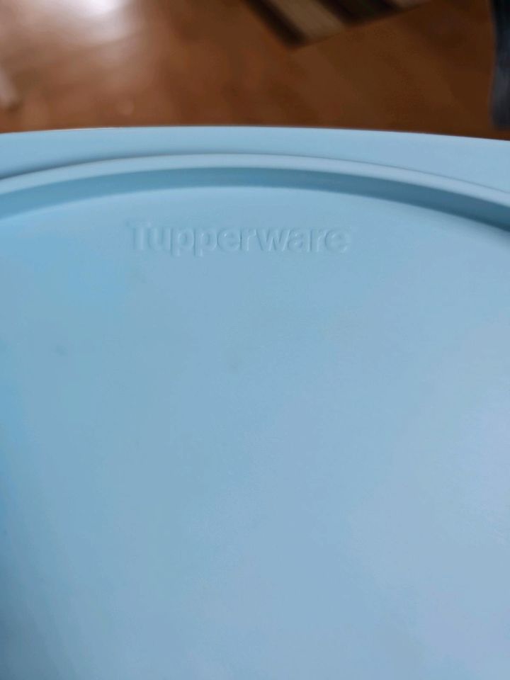 Käse Glocke tupperware neuwertig in Gütersloh