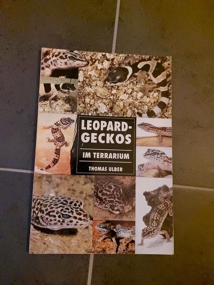 Buch Leopard Geckos Terrarium in Welschbillig