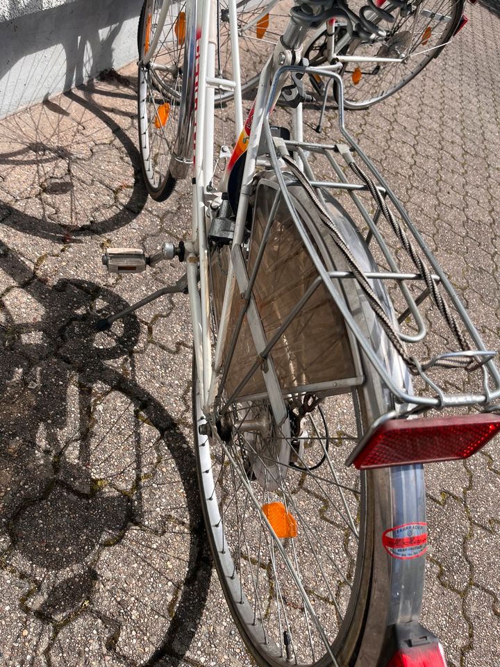 Peugeot Rennrad Pärchen in Wörth am Rhein