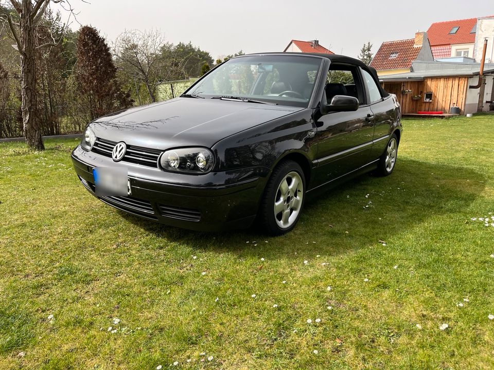 Vw Golf 4 IV cabrio colour concept 1,9 tdi afn tausch in Cottbus