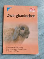 Kosmos Zwergkaninchen Pflege, Rasse - Hasenbuch Tierbuch Baden-Württemberg - Mötzingen Vorschau