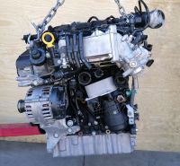 Motor Komplett VW Skoda CUU CUUD 2.0 TDI 69.000km GARANTIE Brandenburg - Küstriner Vorland Vorschau