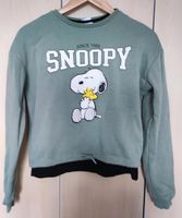 Snoopy kurzer Pullover mit Unterhemd Brandenburg - Senftenberg Vorschau