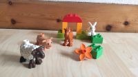 Lego Duplo 10522 Bauernhoftiere Thüringen - Magdala Vorschau