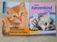 Katzenkinder Kätzchen Baden-Württemberg - Meßkirch Vorschau