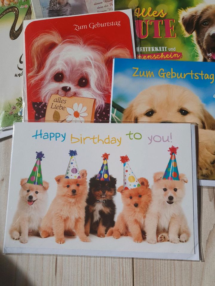 17 Geburtstag Karten Hunde  Motiv Grusskarten Karte in Groß Vollstedt