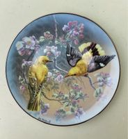 Rosenthal Classic Sammelteller Vogelwelt Nordrhein-Westfalen - Krefeld Vorschau