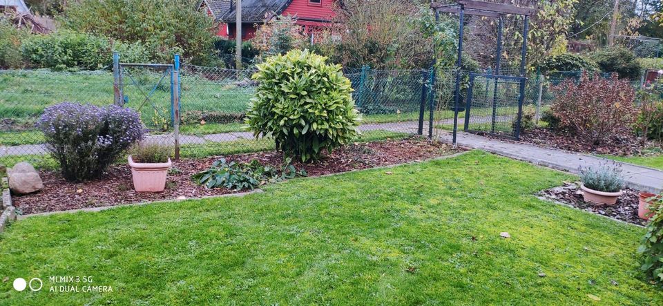 Top gepflegter Garten/Pachtparzelle beim Tabak Quartier Bremen in Bremen