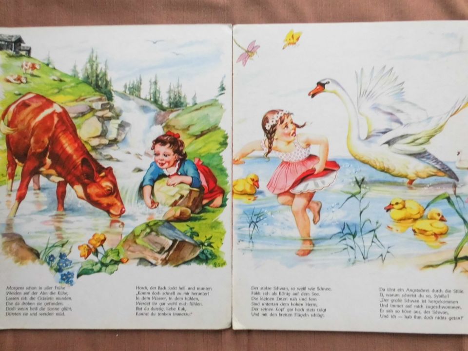 „Lustiges Tierleben“ Bilderbuch 1950 ( Sammlerschatz) in Quadenschönfeld