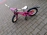 Specialized hotrock 16 zoll Kinderfahrrad Nordrhein-Westfalen - Dülmen Vorschau