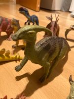 Dinosaurier Sammlung Nordrhein-Westfalen - Hiddenhausen Vorschau