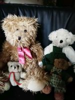Alte Teddybären Sammlung Nordrhein-Westfalen - Neuss Vorschau