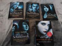 Buchreihe zur Serie The Vampire Diaries 1-5 Hessen - Offenbach Vorschau