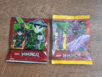 Neu Lego Ninjago Totenkopfmagier Vergeltungssteinwächter Niedersachsen - Salzbergen Vorschau