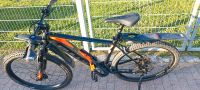 E-Bike MTB BULLS EVO 3 Baden-Württemberg - Bad Krozingen Vorschau