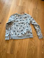 Boden Pullover Sweatshirt 36 Hessen - Heusenstamm Vorschau