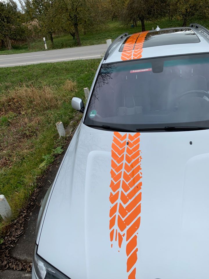Auto oder Anhänger Beschriftung Werbung oder Design in Bayern - Bad Füssing