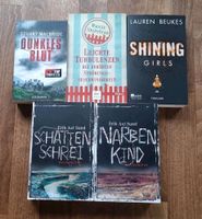 Verschiedene Bücher (v.a. Krimis/Thriller) - je Buch 5 Euro Rheinland-Pfalz - Trierweiler Vorschau