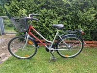 Fahrrad Damen 26 Zoll Nordrhein-Westfalen - Herford Vorschau