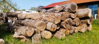 Eichenstämme Holz Stammholz Baden-Württemberg - Aalen Vorschau