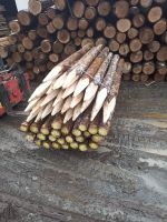 Fichtenpfähle natur, Weidepfähle, Holzpfähle, Zaunpfähle Nordrhein-Westfalen - Windeck Vorschau