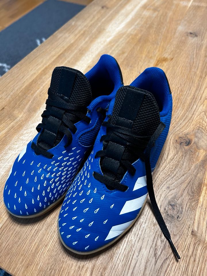 Adidas Predator Hallenschuh Kinder 35 in München