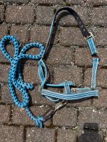 Halter mit Strick Loesdau blau gestreift Niedersachsen - Stade Vorschau