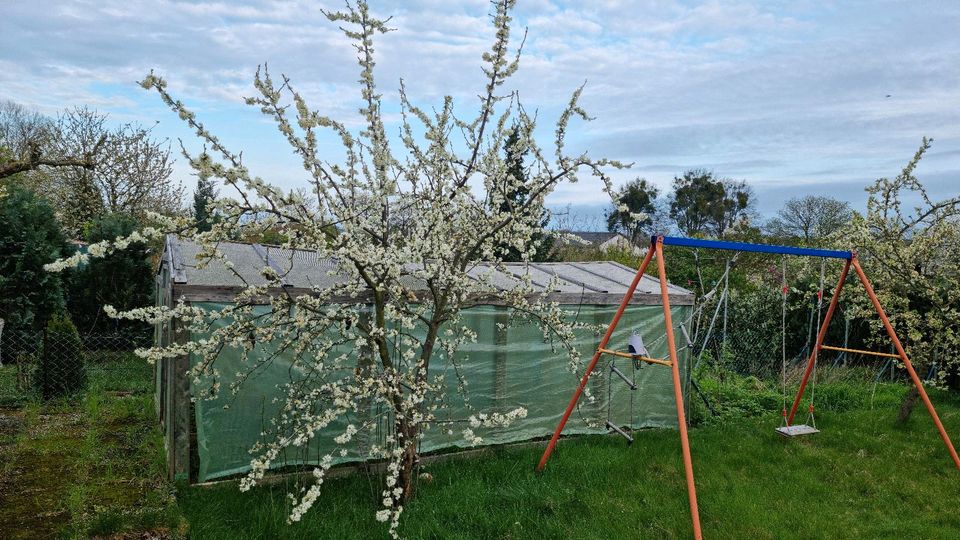 Kleingärten im KVG Sonnenschein in Wolfsburg